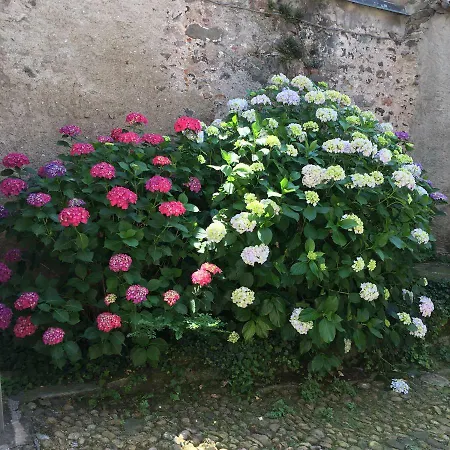 Dom wakacyjny La Solatia Porto Ceresio